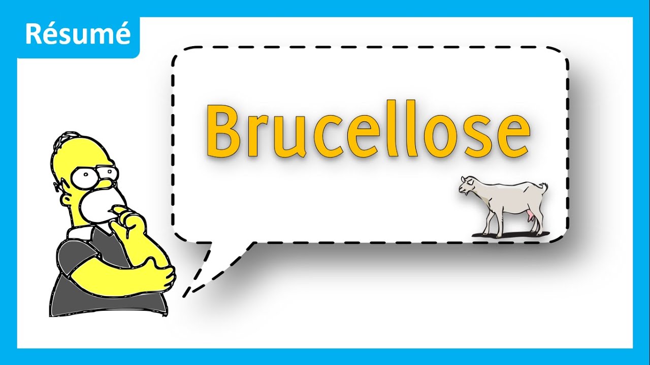 🤔 Quels symptômes devant faire suspecter une Brucellose 🤒❓ - Résumé - Maladies infectieuses