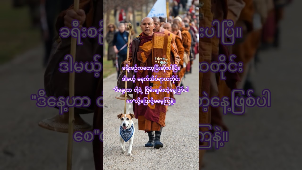 #buddhistmonk