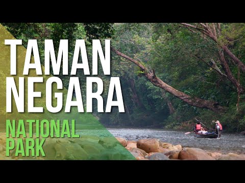 Video: Taman Nasional dan Cagar Alam Malaysia