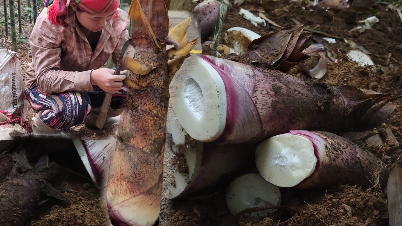 She went into the forest to find giant bamboo shoots. - YouTube
