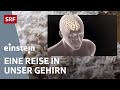 Das menschliche Bewusstsein – Eine Reise in unser Gehirn | Einstein | SRF Wissen