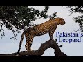 leopard of Pakistan: (Documentary Part:1)