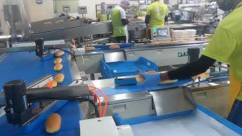 Bread Large Production Line Packaging/Provider of Automated Packaging Equipment and Solutions