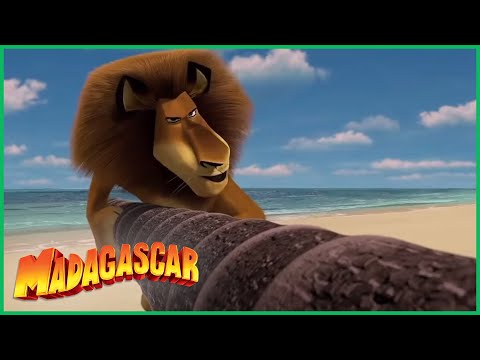 DreamWorks Madagascar em Português | Chegada à Ilha | Desenhos Animados