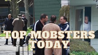 Top 15 MOST POWERFUL Mobsters In The FIVE FAMILIES