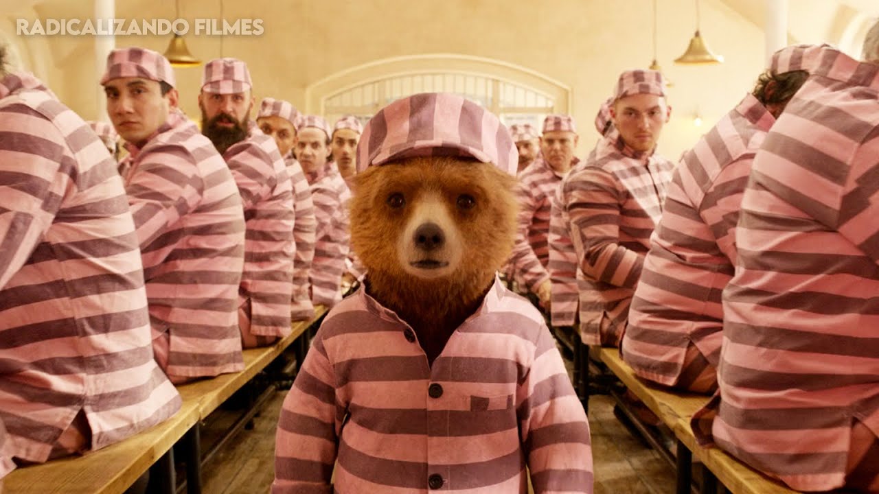 ESSE URSO FOI PRESO INJUSTAMENTE E AGORA TERÁ QUE FAZER JUSTIÇA COM AS