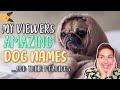 95+ CUTE & UNIQUE DOG NAMES! (Male & Female Pets) | Reacting To Viewers Cute Dog Names WITH PICTURES