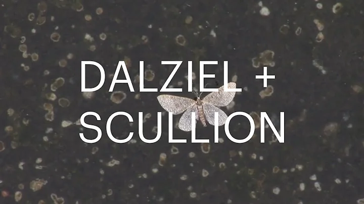 Dalziel + Scullion | Narrative Landscapes
