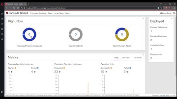 Tutorial: How to Create DMN Models and Combine Them with BPMN (Video 6)