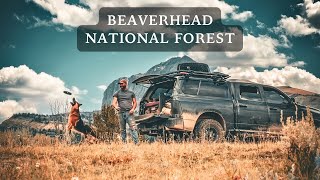 Overlanding Through Beaverhead - Deerlodge National Forest - Montana