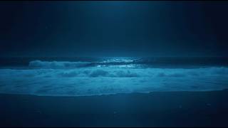 Deep Sleep 5 Hours - Fall Asleep Instantly With Soothing Ocean Sounds All Night Long