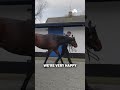 "We love them all!" STATE OF REST and UNQUESTIONABLE at Rathbarry Stud