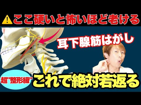 【最新:耳下腺筋はがし】顔が引き上がるどころじゃない！(ほうれい線・顔のたるみ)全部解消！