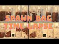 Spawn bag time lapse