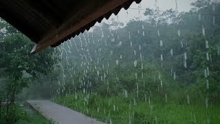 You just need the sound of heavy rain & thunder, to sleep more soundly | ASMR ‐ indorain