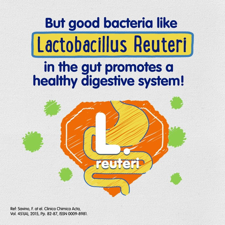 Lactobacillus reuteri probiotics – Win the fight against Tummy Troubles - 6s