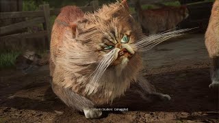 Fantastic Beasts feeding and brushing the Kneazles in Hogwarts Legacy