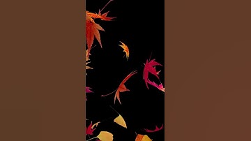 (Video-WP)[GET] Dark dynamic maple leaves
