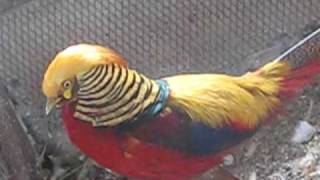 MVI_8626.avi