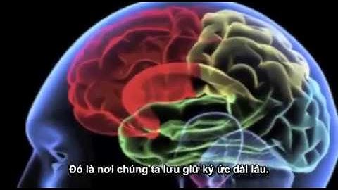 Bật mí Tiềm thức là gì và cách sử dụng nó