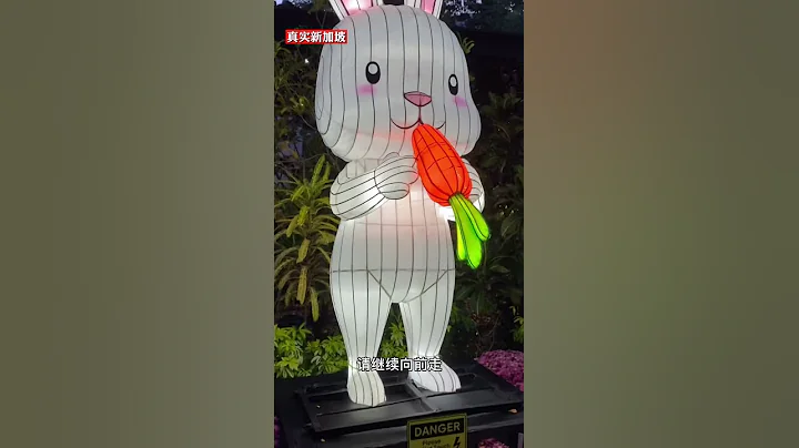 2021年新加坡中秋节庆祝 - 天天要闻