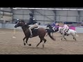 Shoys senior mounted games 2023 both days