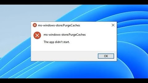 Ms windows store Purge Caches The App Didn’t Start in 2022 | 6 Ways in Hindi
