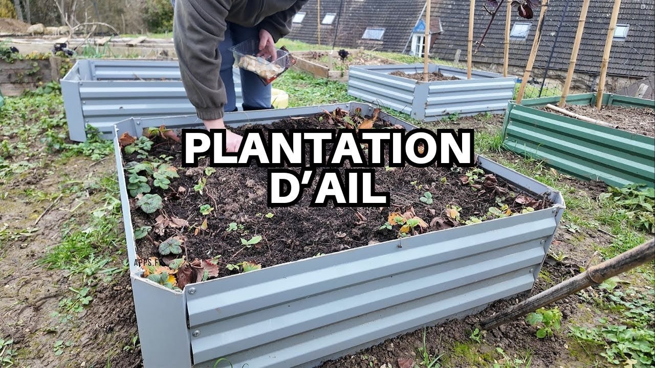 ASMR plantation et desherbage au potager à la campagne