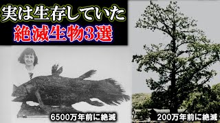 【ゆっくり解説】絶滅から蘇るラザロ生物