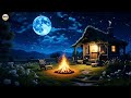 Sun Relax4k/ If you need some peace and quiet watch this video of a night scene with a fire burning.