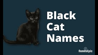 20 Black Cat Names | Creative and Cool Ideas | NamesEpic by NamesEpic 11,740 views 2 years ago 1 minute, 40 seconds