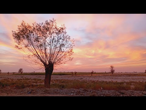 دشتی دشتی عشایر دشت لار مرحم زخم دل غم دیده