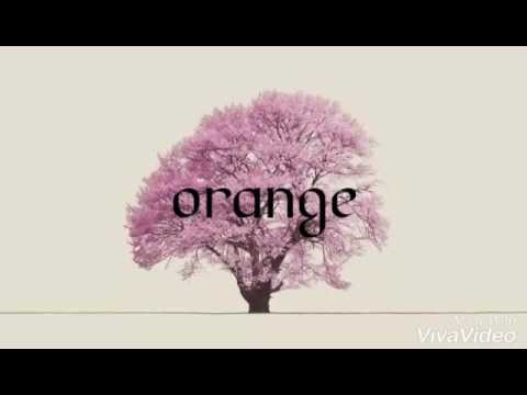 orange 自作ムービー　(映像提供編集)