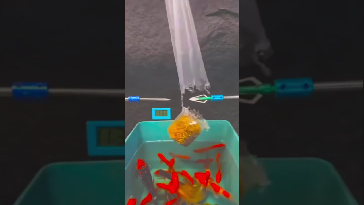 Livestream von gabedagenais