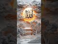 #alleh 🕌🕌🤷🤷