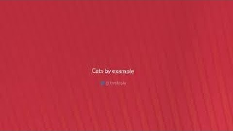 Cats by example – State