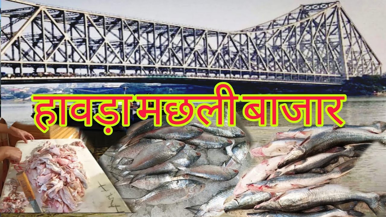सबसे बड़ा होलसेल मच्छी मार्केट#Howrah Kolkata machhi Market#ट्रांसपोर्ट मच्छी मार्केट#ऑल टाइप मची
