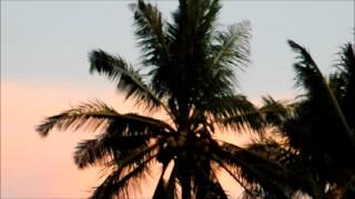 Lagu Daerah Papua Rio Grime Wewuirna Dirupa