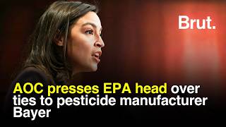 AOC presses EPA head over ties to pesticide manufacturer Bayer