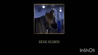 Beverly Hills Chihuahua