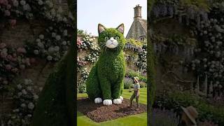 cat 🐈 #satisfying #love #usareels