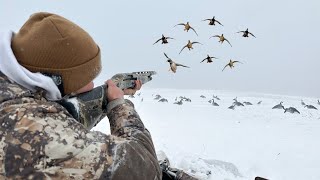 First Snowy Duck Hunt Of The Year! (STUD Greenheads and Pintails!)