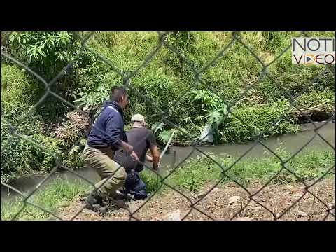 Bomberos a la cacería de un cocodrilo descubierto en un fraccionamiento de Morelia