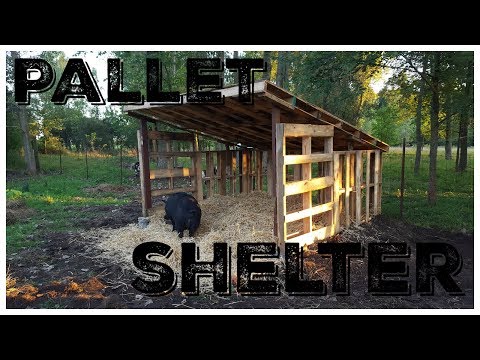 Pallet Animal Shelter