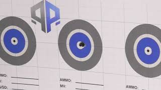 Details Practical Precision Shooting Targets — Built for Accuracy Testing & Load Development News