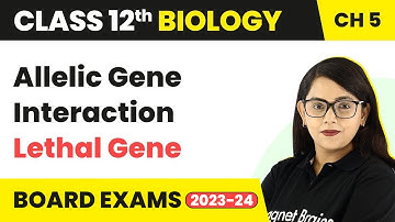 Class 12 Biology Ch 5 | Allelic Gene Interaction - Lethal Gene CBSE/NEET (2022-23)