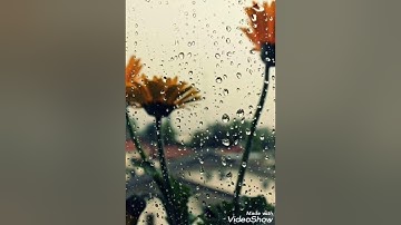 من سورة يوسُف || عبدالرحمن المزين