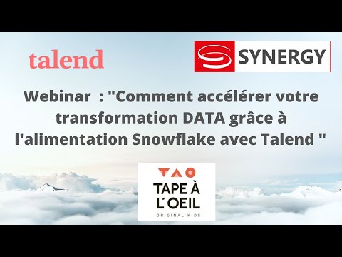 Webinar DATA Platform Talend x Tape à l'œil  Synergy France avec le témoignage de Guillaume PORQUIER