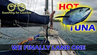 We Finally Land One - Hot Tuna!  - S02E30 by searching for coconuts 629 views 8 months ago 16 minutes