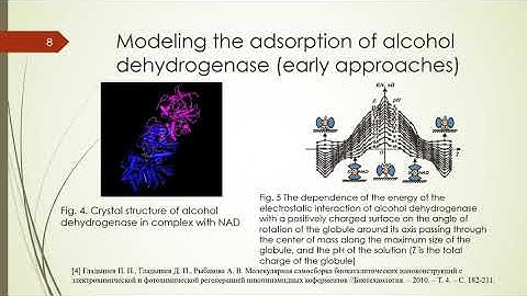 Molecular Dynamics Simulations